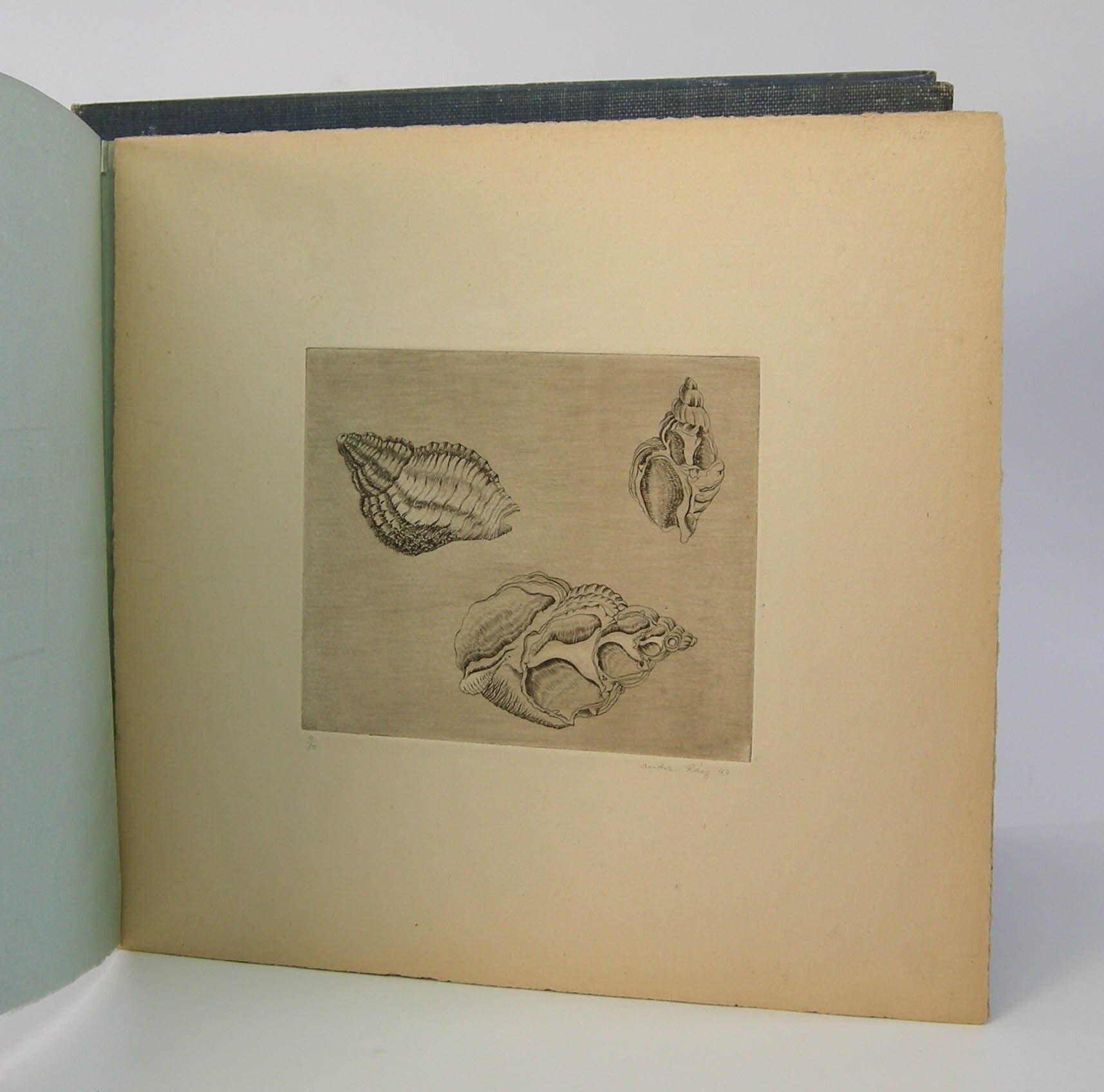 The Flowering Rock; 7 Engravings | Andre Racz | First Edition